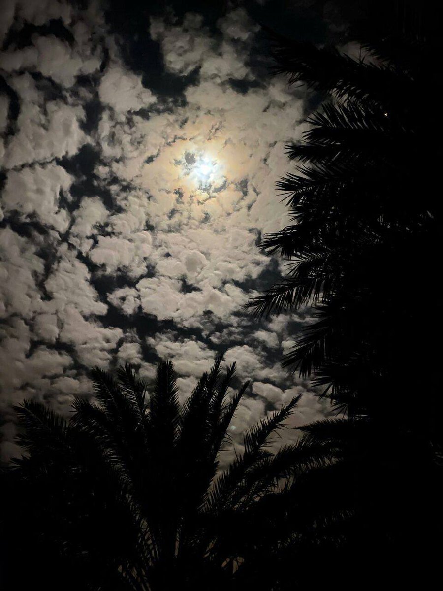 Man_2035's tweet photo. #بوح_آخر_الليل 

عسَى هالليلة تخالف ظنوني المعتاده
وتبهرني بشيً ما .. يطري على باليّ . https://t.co/H8Hr2idWVd