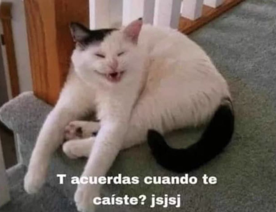 no me llamo vicenta tweet media