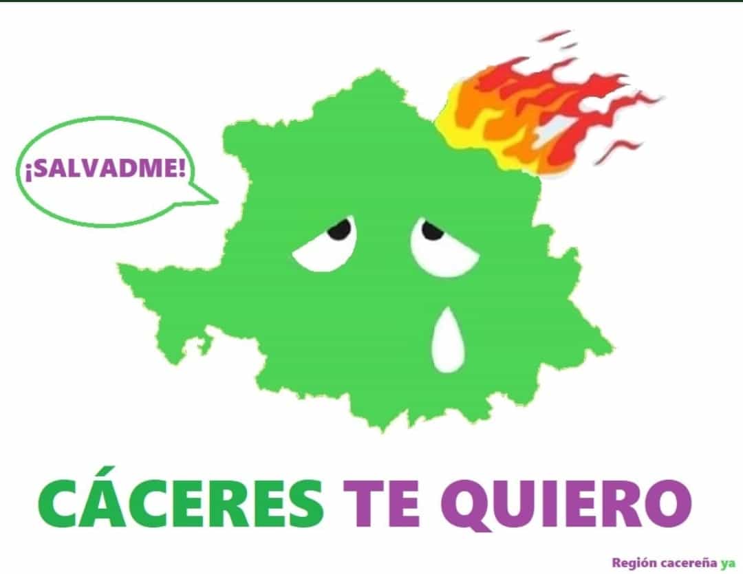 BRIF_PINO's tweet image. 