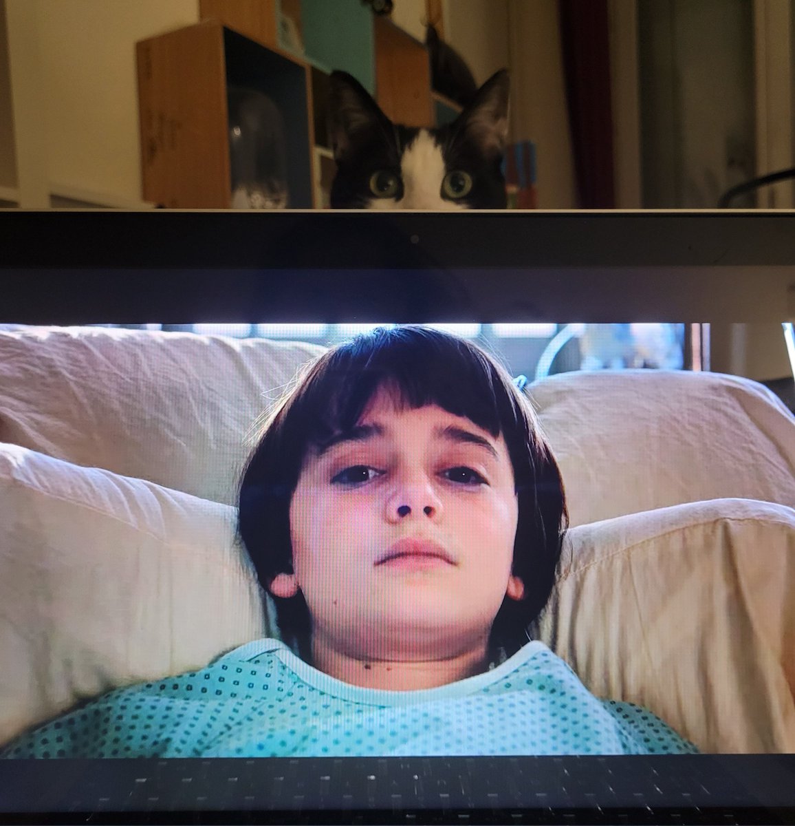 SaperliPaup's tweet photo. It's back. It's stronger. It's stranger. It's... THE COVID.

(J'en profite pour revoir tout Stranger Things depuis le début.) 

(Et je n'arrête pas de chantonner dans ma tête : "C'est la Covid, Covid party !", sur un air célèbre des Musclés 💪. Je crois que je délire... ). https://t.co/8uYMdbJZft