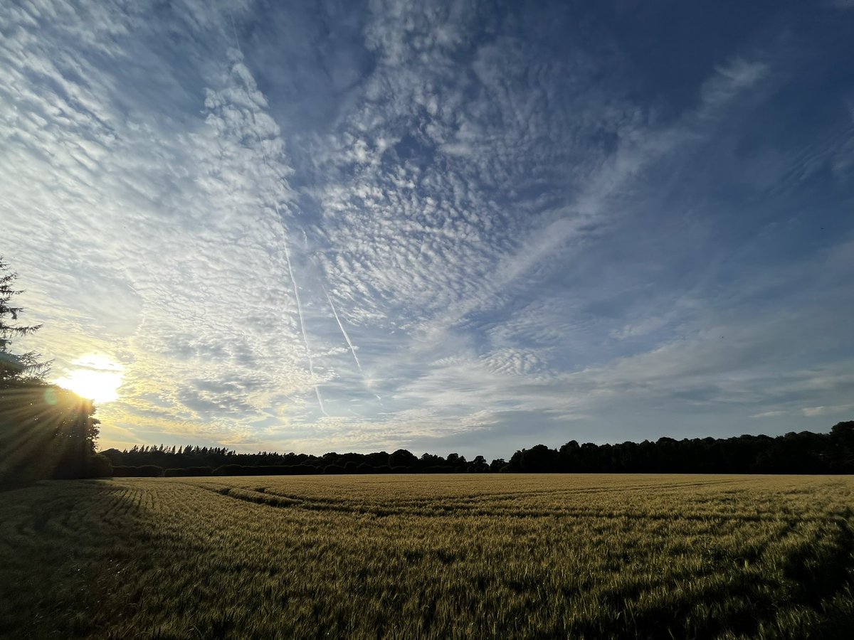 Impromptu Chilterns stomp that definitely improved Monday significantly