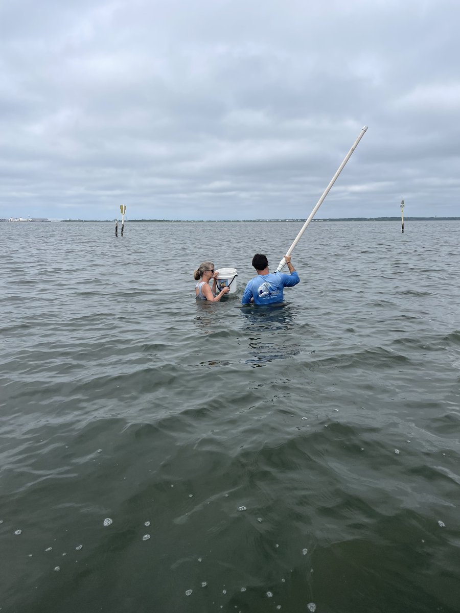 MFPiehler's tweet photo. An absolute treat to get out in the field today!  Cloudy and cool day (in July, in NC!) sampling water and sediments in oysters leases throughout the Newport River.  #PiehlerPosse https://t.co/oxThtF8QJG