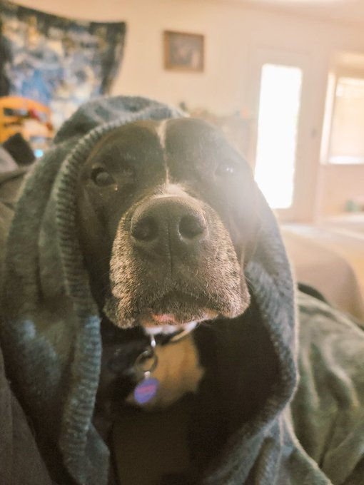 The Mascot of Smokin' Sessions https://t.co/CUEaX1ElDr<a href="/tag/ufc273"class="tags"><span>#ufc273</span></a>