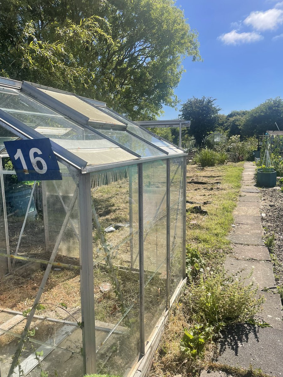 Liz Midwinter tweet media