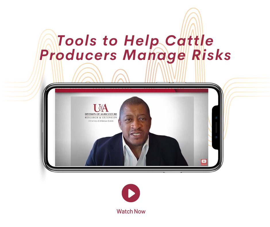 SouthernERME's tweet photo. Center Director Dr. Rainey was recently interviewed on NCBA's Cattlemen to Cattlemen about #managingrisks for #cattle producers.  
https://t.co/swoXFzX9iv https://t.co/w2oS44Rnip