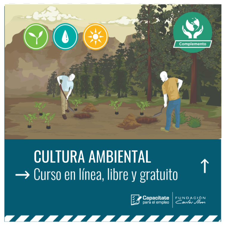 ACCIMMYT's tweet photo. 💧🌳🔌🌞♻️  Conoce la relación entre el medioambiente, la sociedad y la economía, y aprende cómo contribuir a mitigar el impacto ambiental de la actividad humana. 
 
#CapacítateParaElEmpleo con este curso en línea 👉 https://t.co/7bW5RQEXXV https://t.co/ylSqADNB26