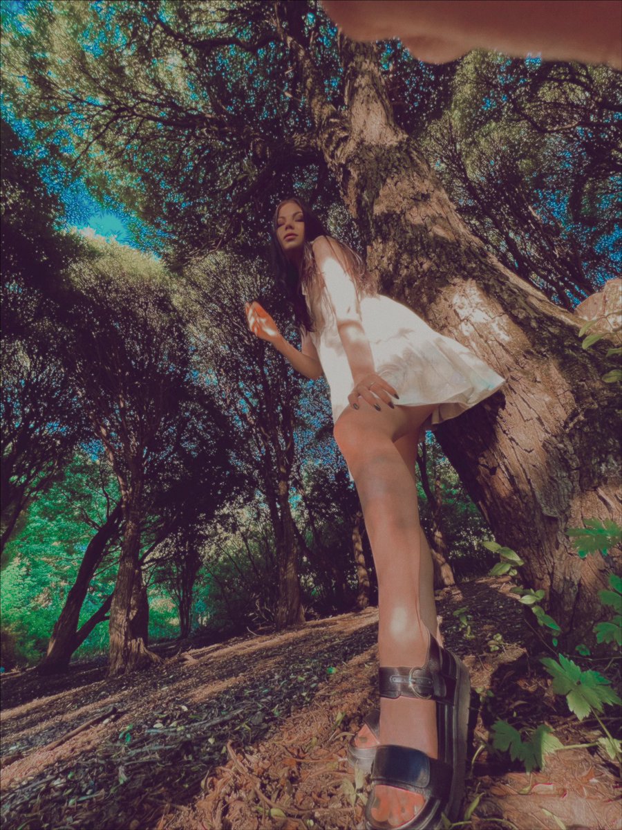 OOOkSSSi's tweet photo. 🌳 https://t.co/BJPGZpYhiu