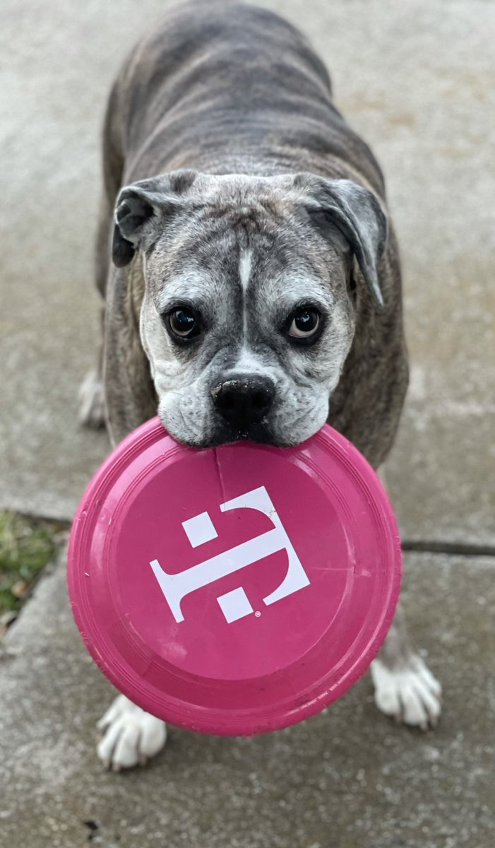 LouD3L3on's tweet photo. @TMobileGear https://t.co/QUYYacU7qO