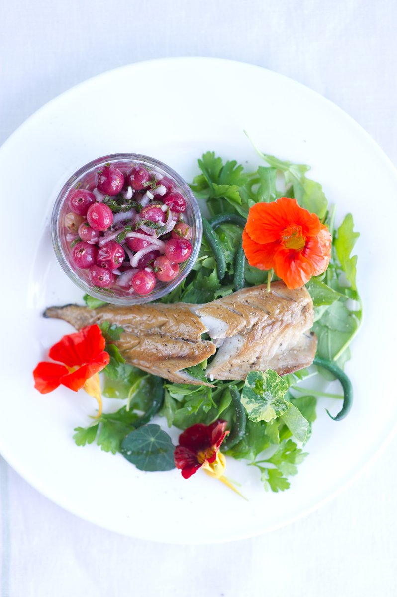 The July Otter Farm newsletter - some excellent offers, a seasonal recipe and more view.flodesk.com/emails/6279312…