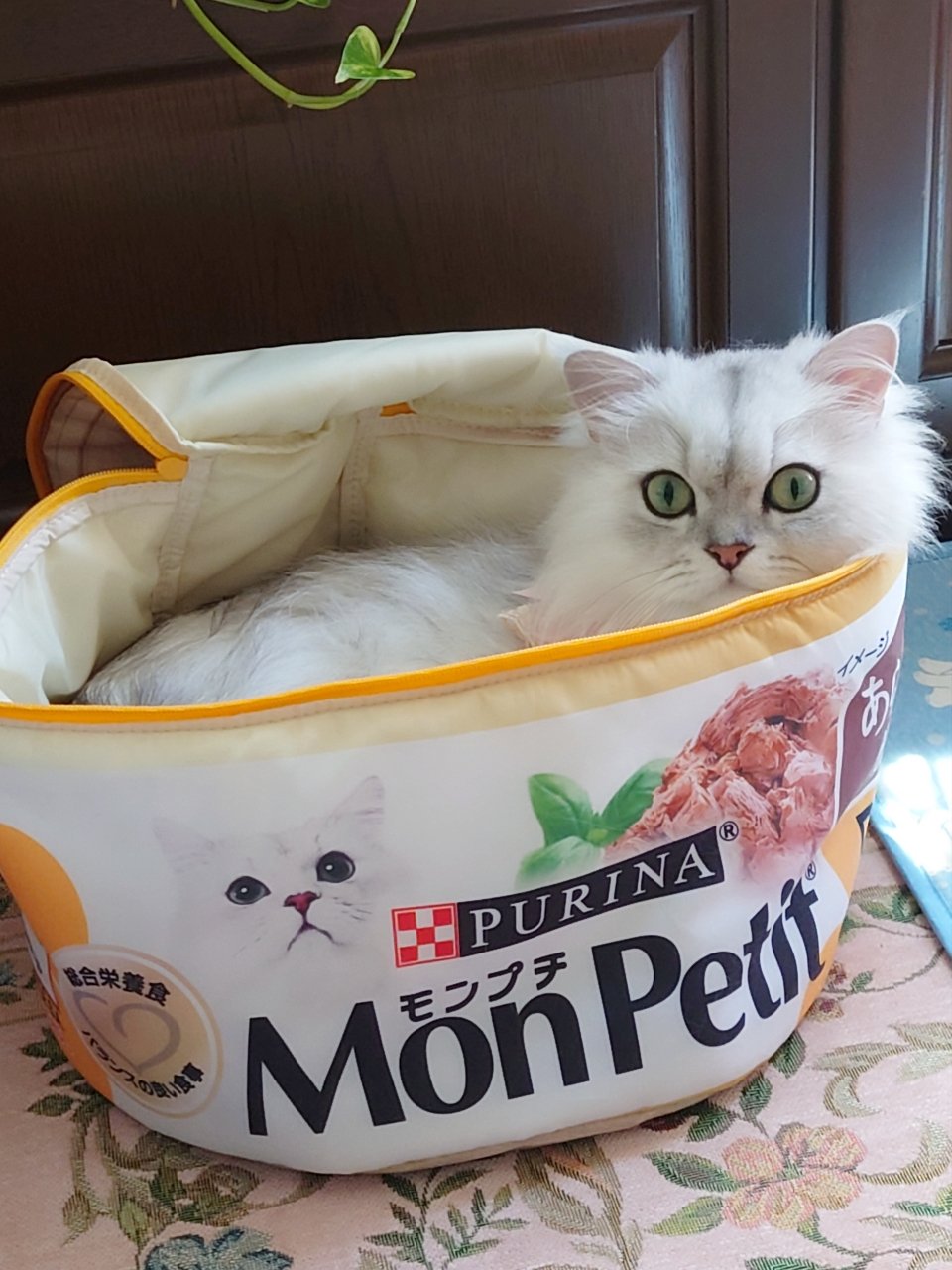 堀ちゃん Coocharlestvxq Twitter