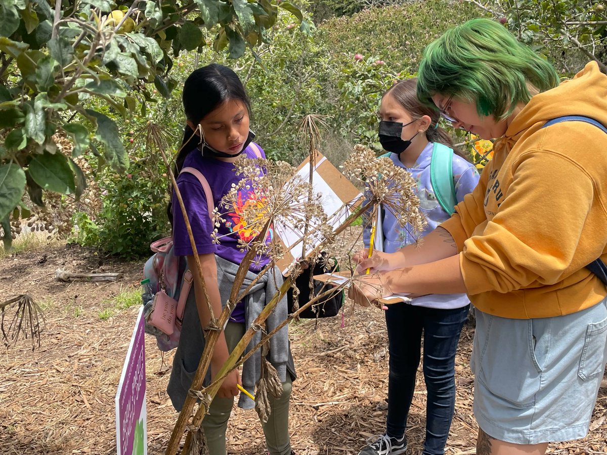 HorizonsSFFS's tweet photo. Putting our theme "Today Seeds, Tomorrow Flowers" into action @SFBGS ! #NatureExploration #ExpandingHorizons https://t.co/Qzn7szTwBV