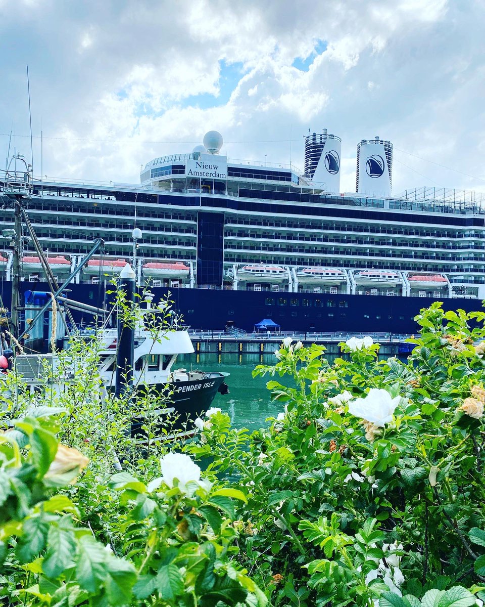 msrachelteodoro's tweet image. Looking for the best Alaska cruise experience? Hands down @HALcruises does it best! Cruising Alaska for 75 years (before it was a state!) and now a partnership with @Alaska_Seafood will have guests getting the best of Alaska from seafood to shore excursions! #halcruises