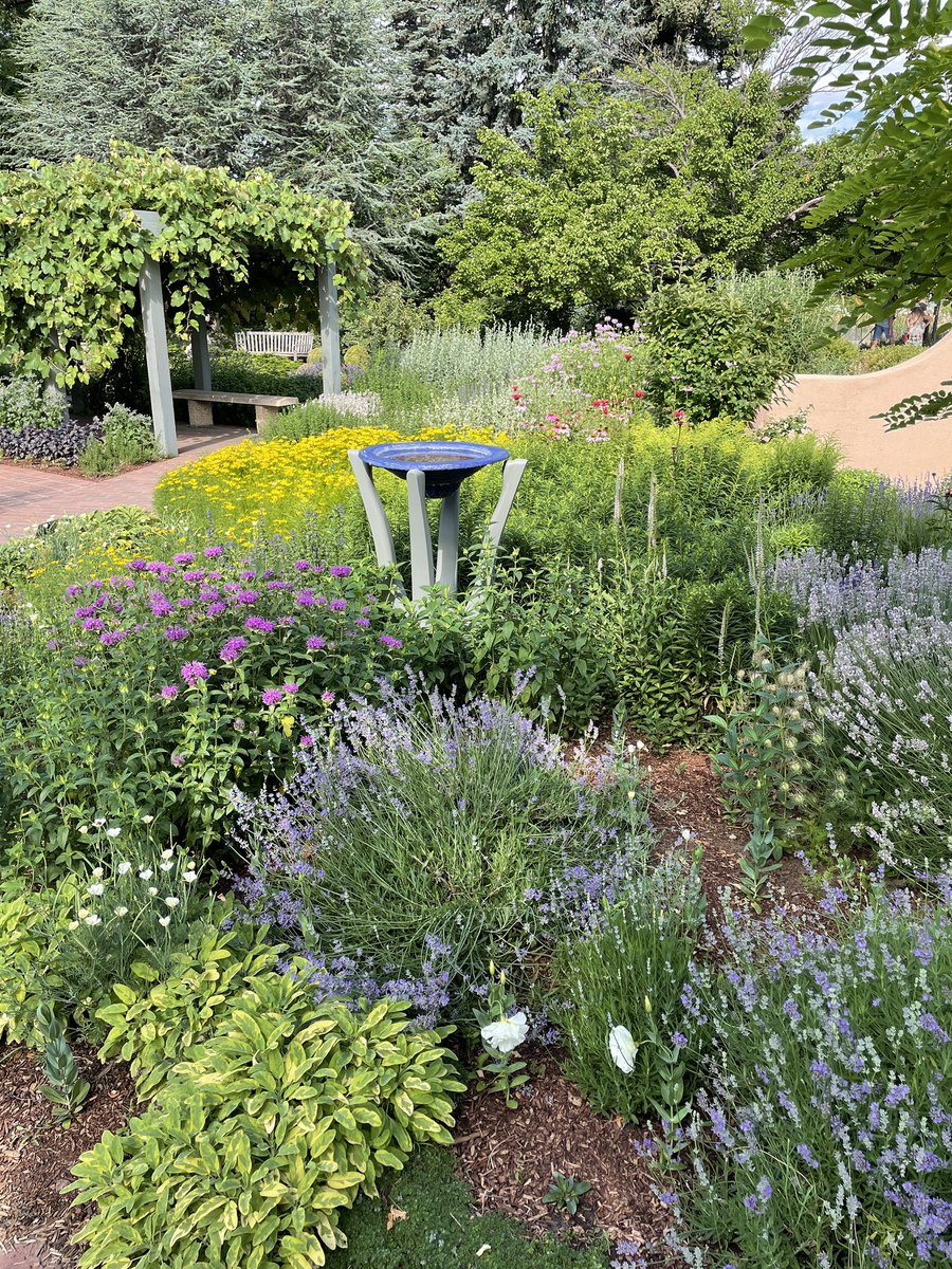 Lots of opportunities for nature selfies at the Denver Botanic Gardens! What a lovely place! #jwesummer @JWEKaty <a href="/denverbotanic/">Denver Botanic Gardens</a>