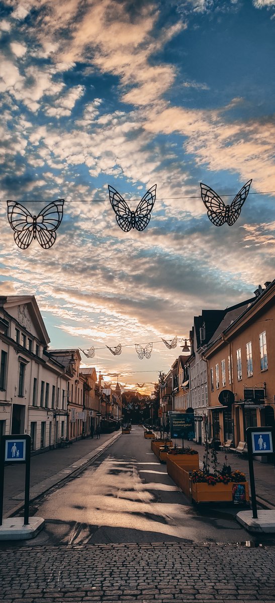 Pedro Canhão Costa, M.Sc. tweet media