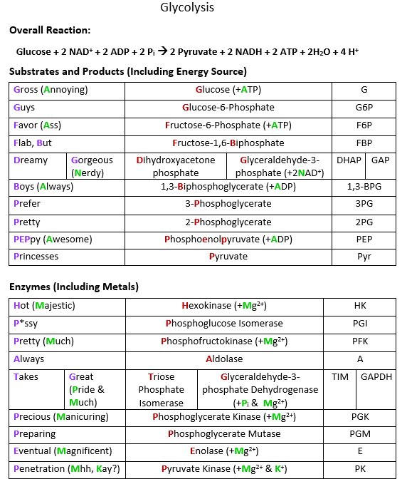 Mira_Abegail's tweet photo. My kind of biochem mnemonics #MedSchool #RatedSPG https://t.co/ool3C6aLZS