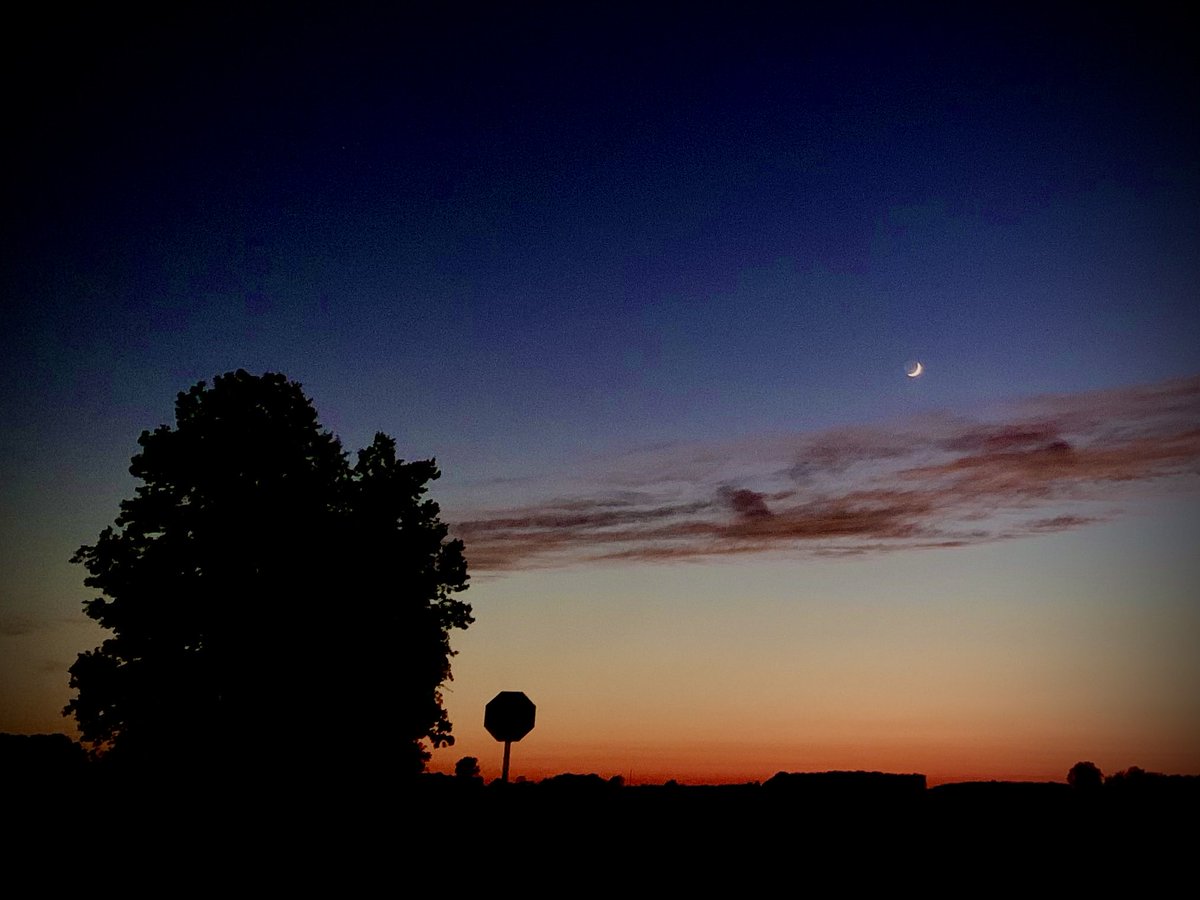 's tweet image. My last walk today then it’s lap time on the couch! Fireflies and a sweet sunset.