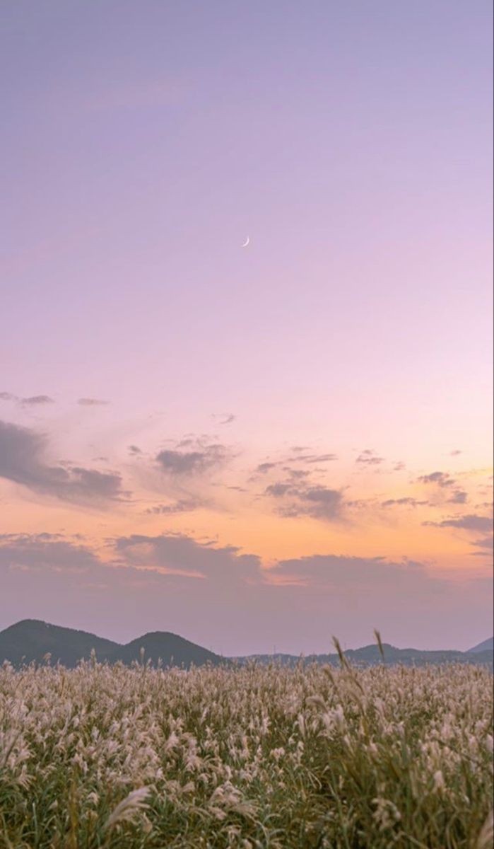 clbox_'s tweet photo. Seventeen short AU | Dino

𝑺𝒂𝒏𝒅𝒚𝒂𝒌𝒂𝒍𝒂

—Jika Amerika mempunyai twillight maka kita memiliki Sandyakala untuk mengungkapkan betapa indahnya langit senja yang ku tatap bersamamu. Damar 2022 https://t.co/6GwLRiIiBL