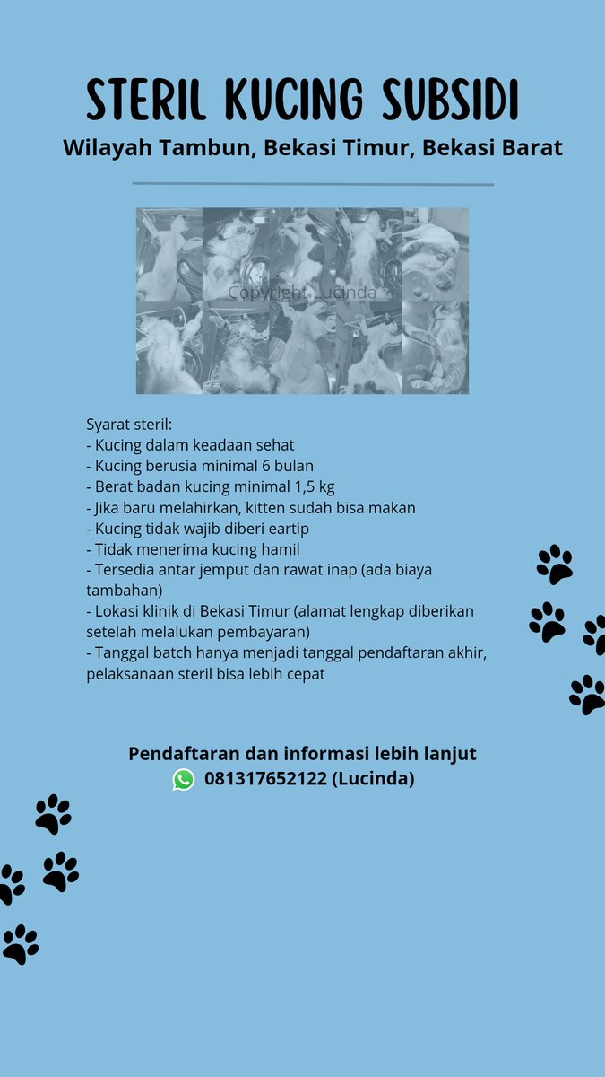 mydearmiso's tweet photo. 🐾Steril Subsidi Tambun dan Bekasi🐾 ada antar jemput. #infosteril #sterilsubsidi #sterilsubsidibekasi #sterilsubsiditambun https://t.co/yyq3E1ofpm