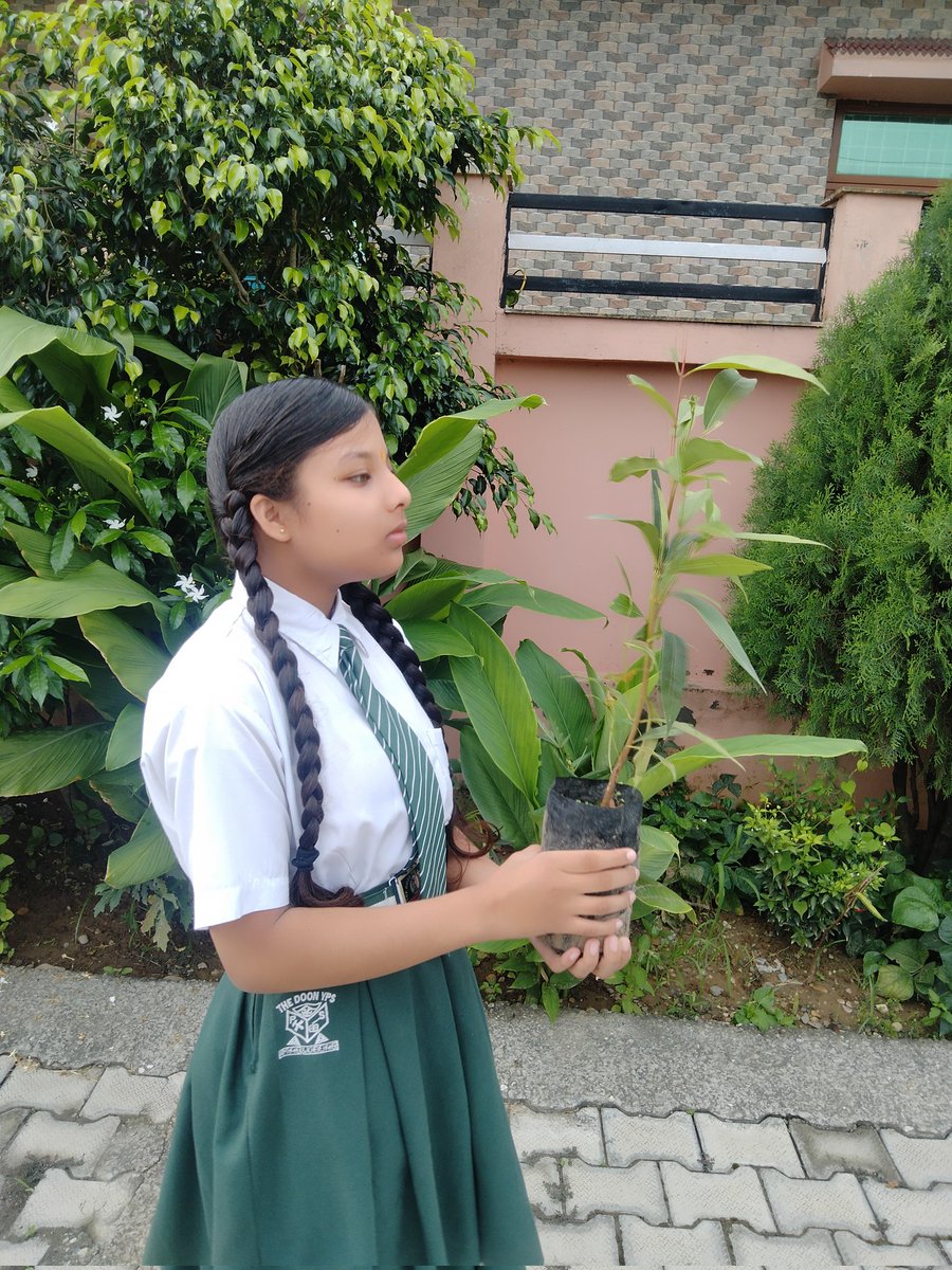 आज एक पेड़ पुरानी पेंशन बहाली के नाम जरूर लगाए