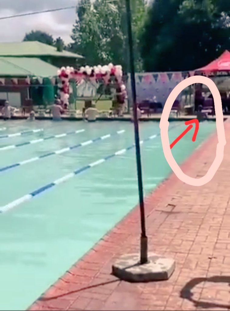 MaZuluOmuhlez's tweet photo. Lol forget the "stomach dive" One thing I love about Malume, he finished the race. He did not give up! Yes at some point he was drowning himself, walking in that pool but his main goal was to get across and he hid just that ❤️. #Malume https://t.co/MpzSpST3ol