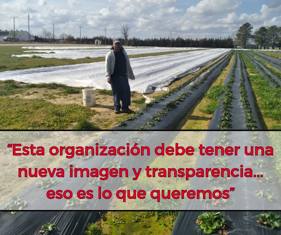 esnuestroFLOC's tweet photo. Lee más sobre la campaña aquí:
https://t.co/OVn9uLmLK7

“This organization should have a new image and
transparency… that is what we want”

Read more about the campaign here:
https://t.co/uvLsbT13ze https://t.co/iSmf3YXGBW