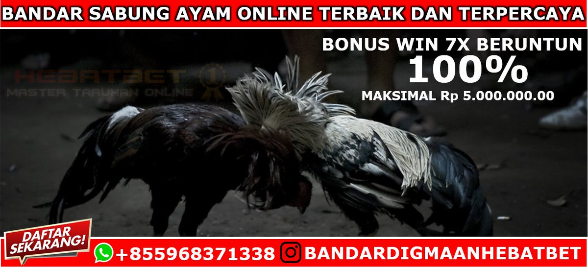 hebatbet01's tweet photo. #sabungayam #tajenbali #sv388 #club388 #sabungayamsv388 #sabungayamclub388 #sabungayamdigmaan #sv388 #club388 #sabungayamonline #hebatbet https://t.co/xBjoGI87RL