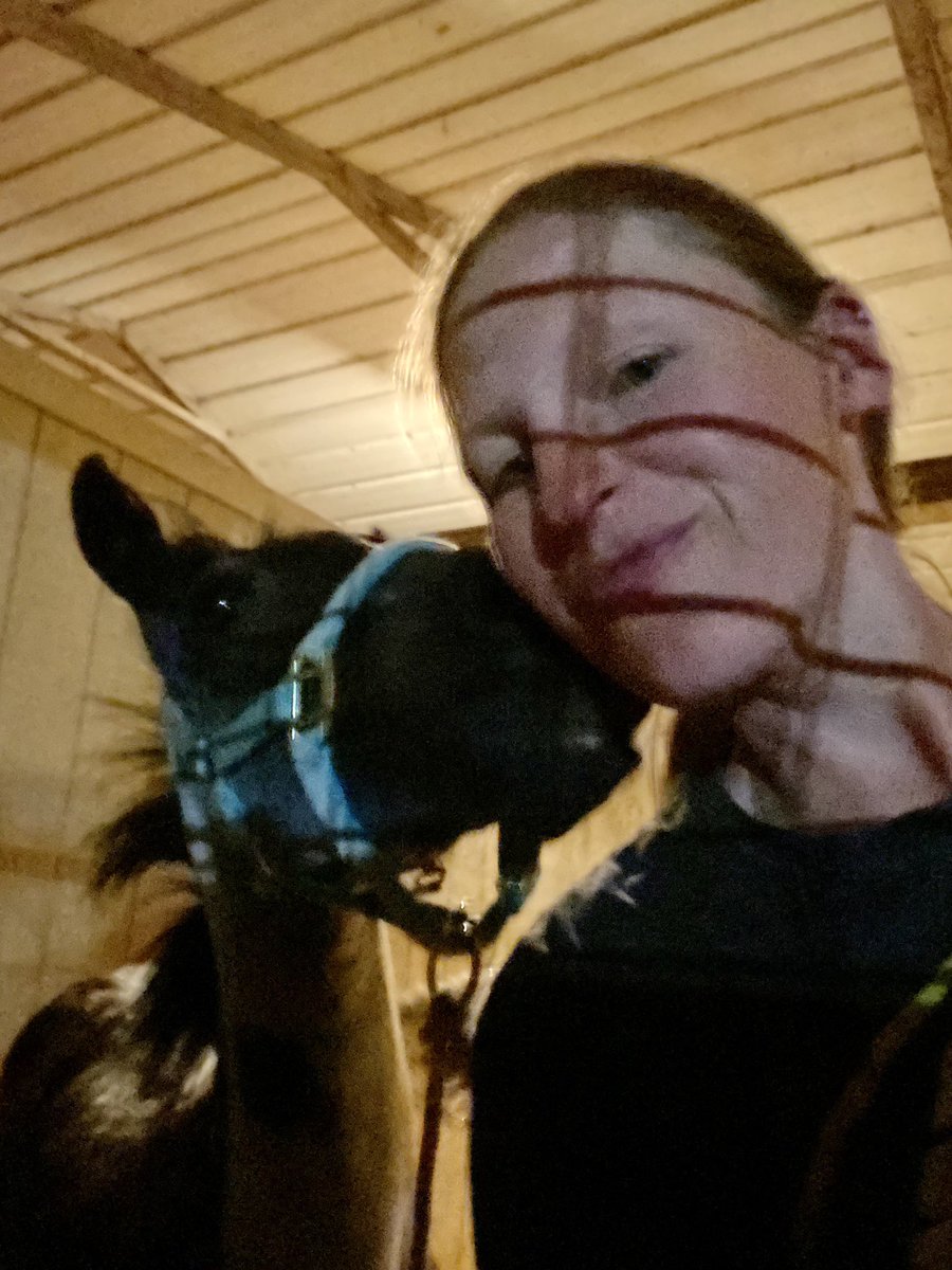 PRRHorseRescue's tweet photo. Layla always waits for me to give her meds! I adore all her sweet baby kisses. Both Layla and Serena are doing great!
https://t.co/9NoR8lhaRU
#Horse #Rescue #Support #HorseLover #AnimalWelfare #AnimalRights #NoSlaughter #HorseLivesMatter #Chillin #TexasHeat #TexasHot https://t.co/DbCJLzsX49