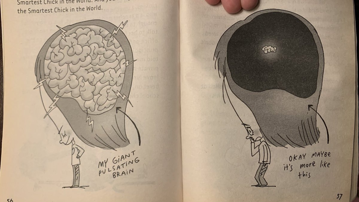 moth_jam's tweet photo. why is this dear dumb diary i found in my closet full of modern memes https://t.co/Gqm7f14cip