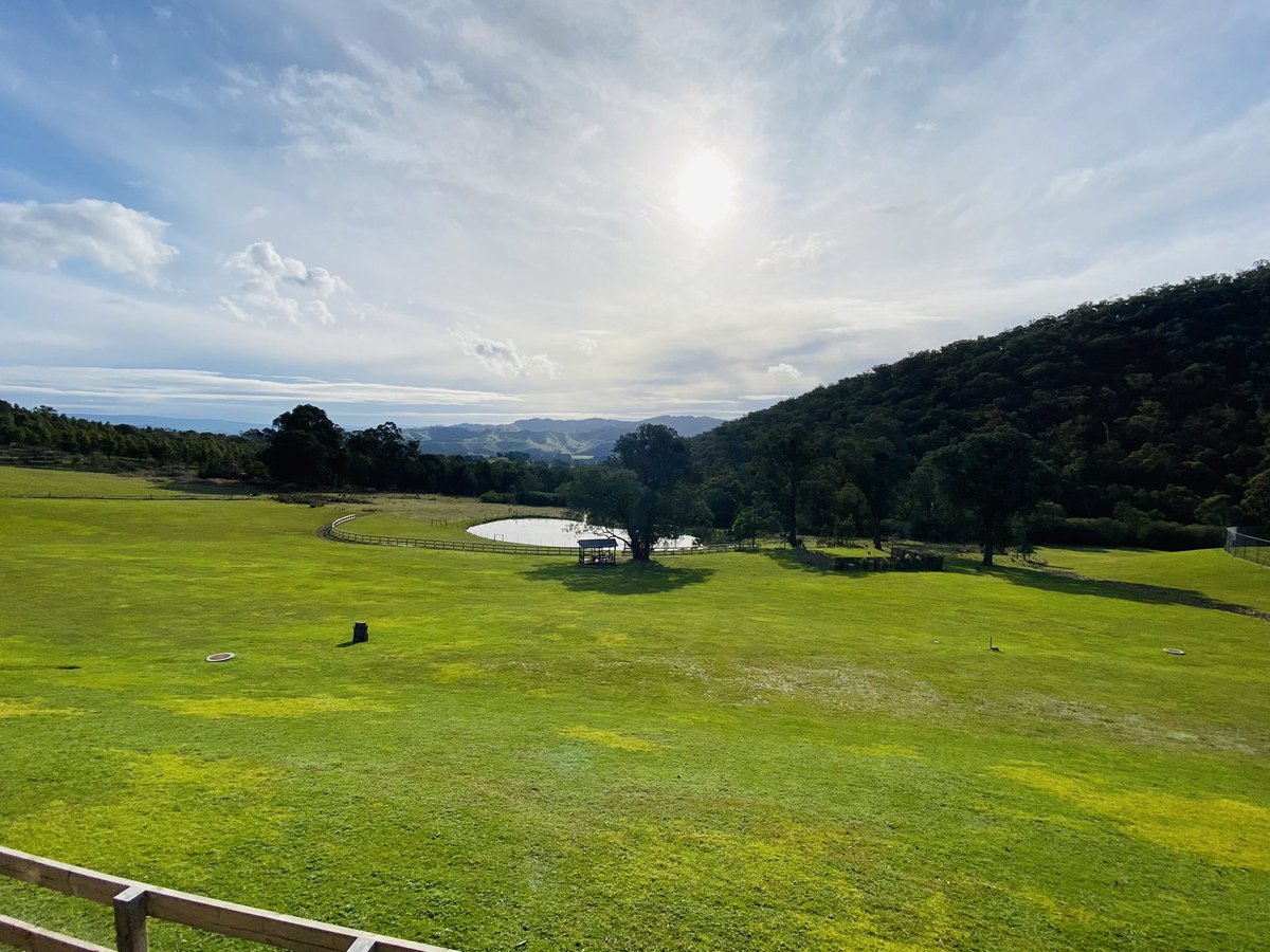 Melissa Ciardulli tweet media