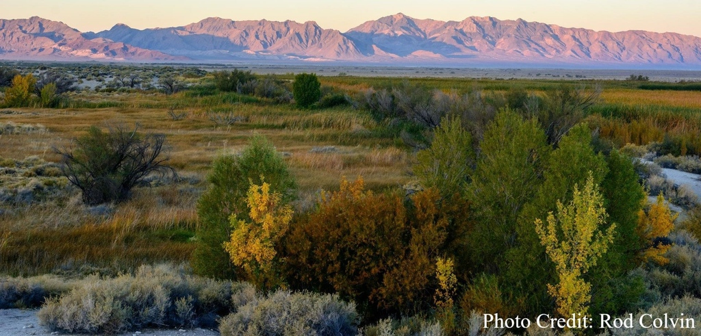 DeathValleyNHA's tweet photo. DVNHA July E-Newsletter: Ash Meadows and Death Valley Updates, NPS Press Releases, and More.
Follow this link to read our monthly e-newsletter: https://t.co/2HGbtzS6ko https://t.co/xszKwWw2Lb