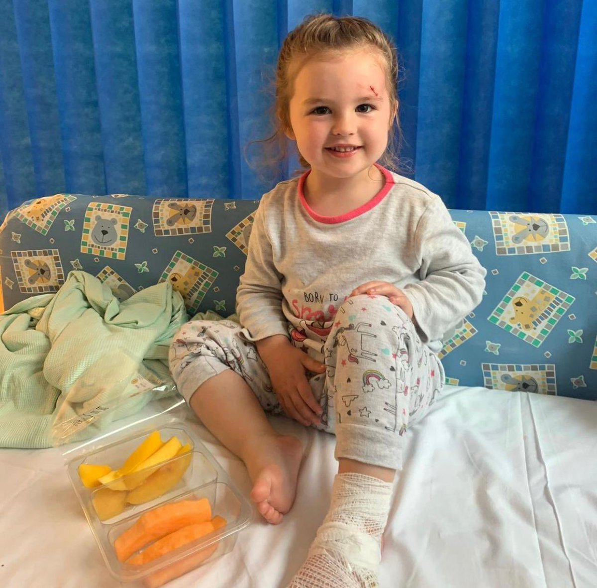 URBIGMISTAKC's tweet photo. Ya la curamos, no fue nada grave y después de darle fruta, hasta con una sonrisa posó. 

Te amo Zara, ojalá todos los males se solucionaran con comida. https://t.co/J33HXfq7Kl