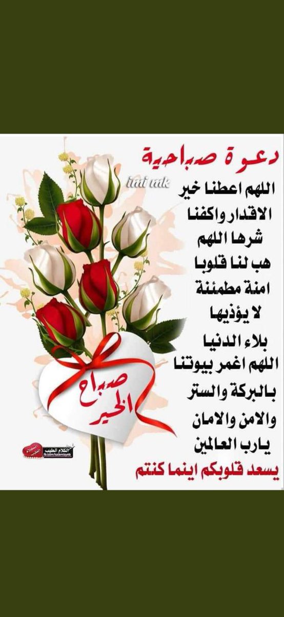 Ali Nabel (@alinabe77637169) on Twitter photo 