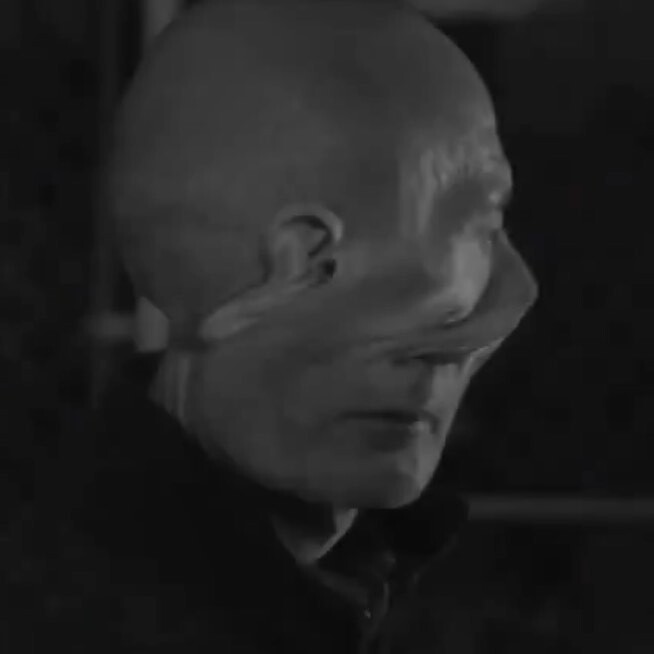 The Steven Hope tweet media