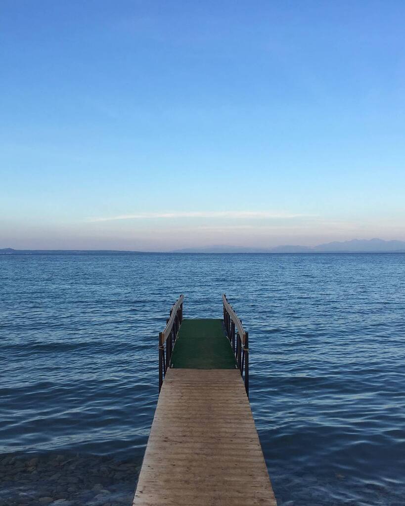 The Steven Hope tweet media