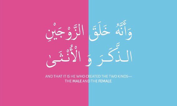 muhsenzubi's tweet photo. #فطرة_لرفض_الشـzوz https://t.co/74gkgIvHu6
