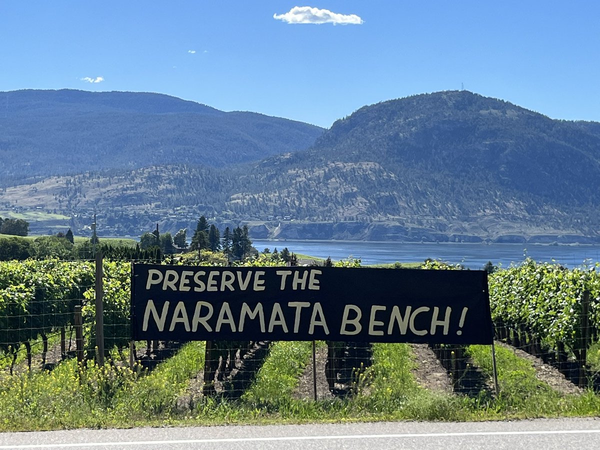 mattdellok's tweet photo. Cities must choose: build compact and walkable communities, or more urban sprawl. This battle is happening in Penticton BC - a massive new subdivision is proposed on the famous Naramata Bench wine lands. Penticton is well known for opposing housing - this is the result. #bcpoli https://t.co/6626KVMTx2