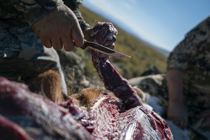 SPORTSMANchnl's tweet photo. Jeff takes his best friend on a muzzleloader hunt for pronghorn up in the familiar lands of the Mal Pais and ponderosas. 

Beyond Rubicon  /  ALL NEW TONIGHT AT 10 PM ET. 

#IAMSPORTSMAN #hunting #pronghorn #antelope #antelopehunting #speedgoats #muzzleloader https://t.co/mpAKIm8w6F
