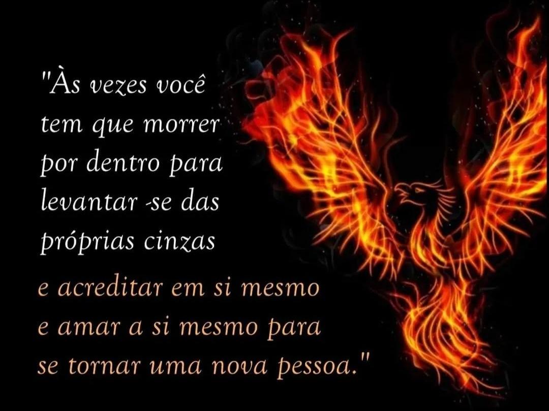Lúcio Martins (@lucio_martins02) on Twitter photo 