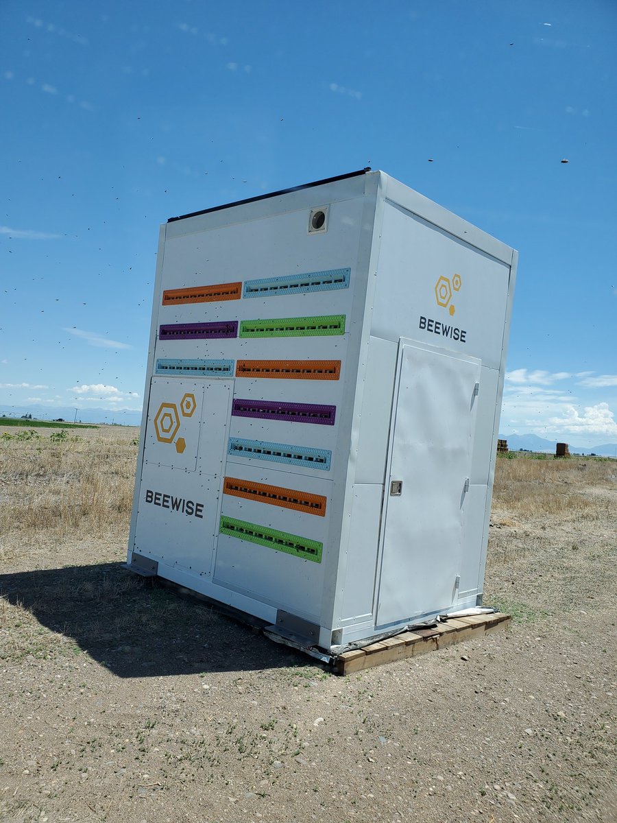New types of bee boxes.  24 hives per unit. Pre-loaded miticide and cameras/templates monitors to keep bees healthy &amp; happy pollinating hybrid canola seed production.