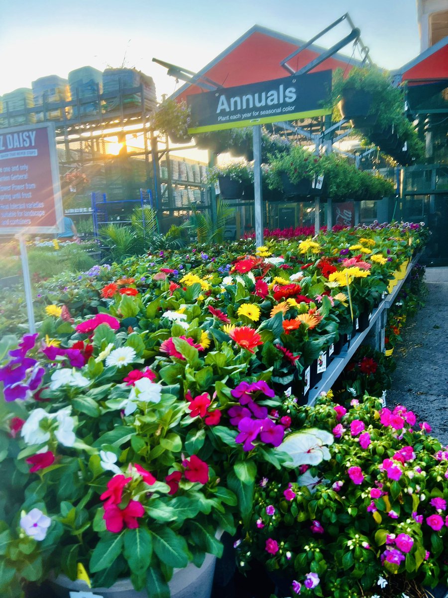 Amazing annual table at 4140 south Allentown great job Bell nursery’s :)