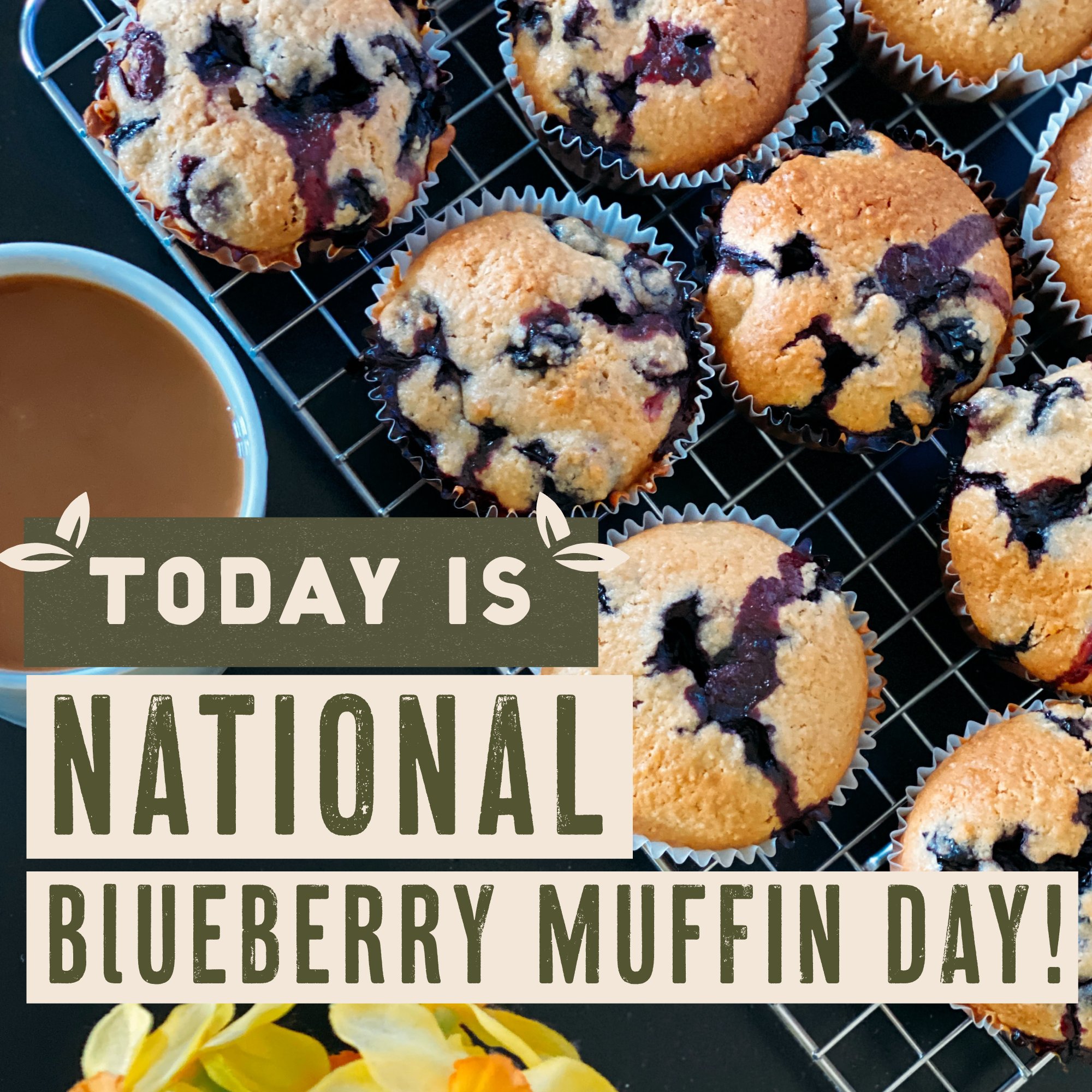 Seal the Seasons on Twitter "Happy National Blueberry Muffin Day! 🫐 🥧