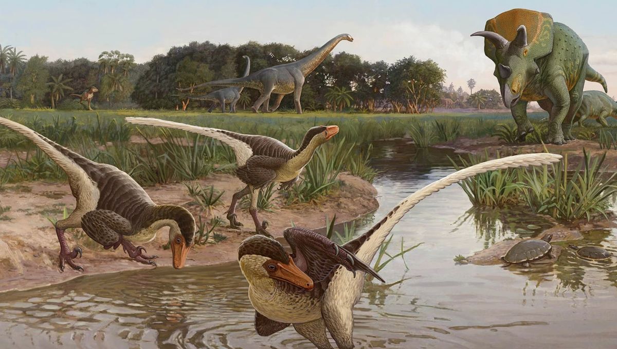 Rare new species of feathered raptor unearthed in #NewMexico - ow.ly/ArJp50JT7Z8

#history #paleontology