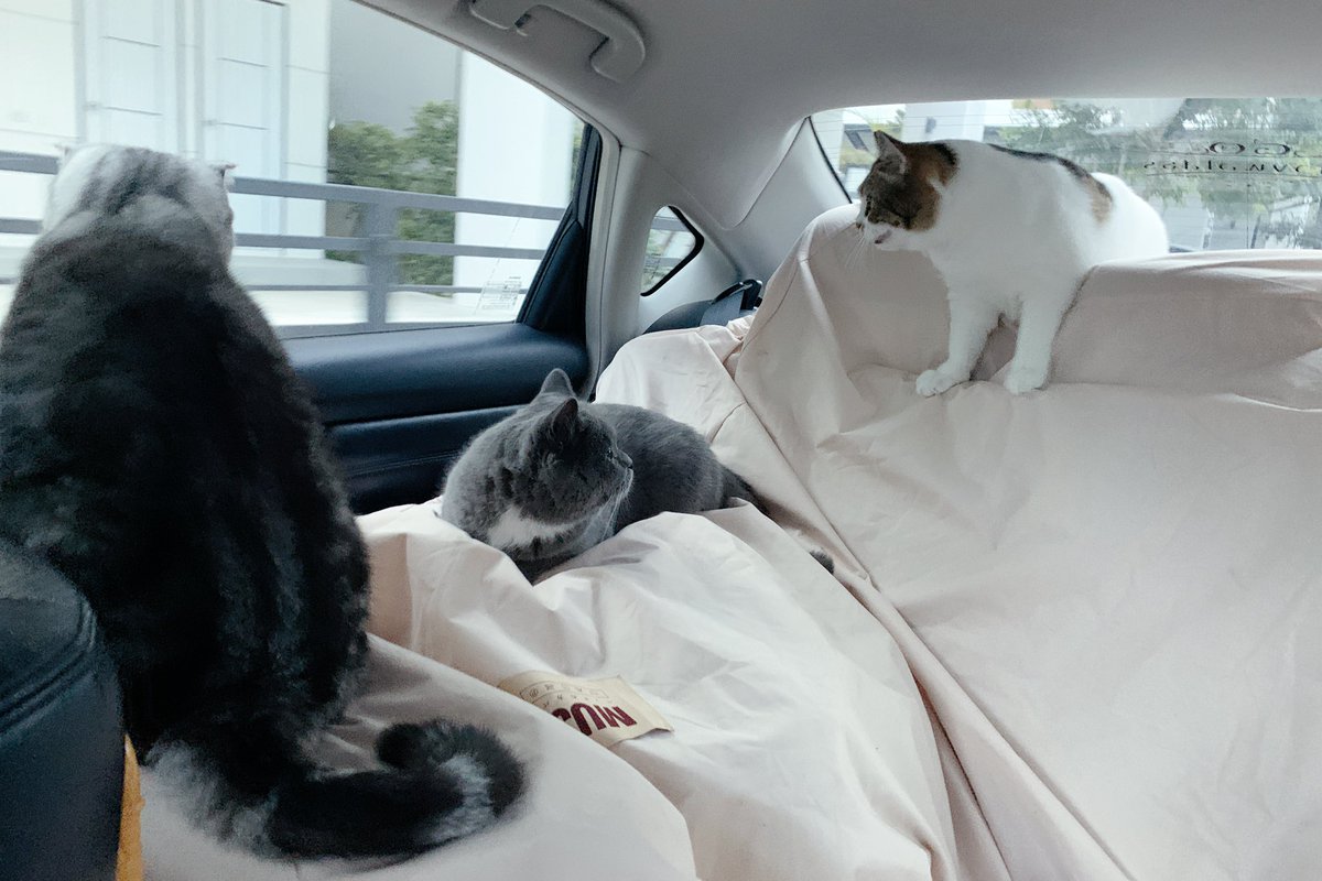 🚙💨 ล้อหมุนแล้วค้าบบบบบ