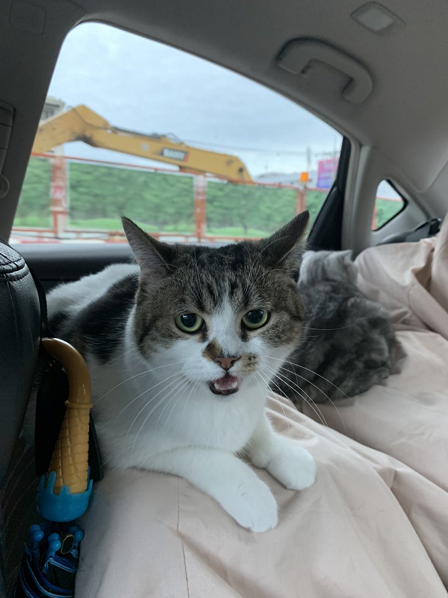 บ่นนนนนไม่หยุด