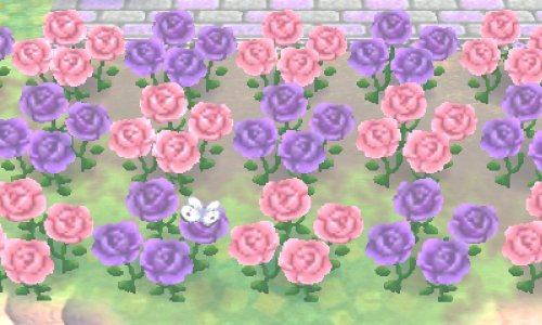 anicrossing2's tweet photo. https://t.co/nxyEOI7y9c