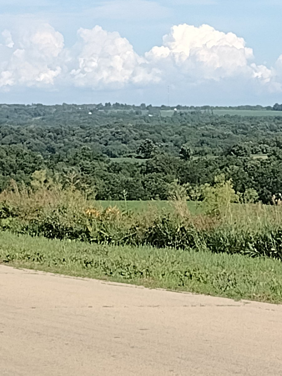 kurtsteffen30's tweet photo. Today was the 5th annual Wieman cousin outing at Darlington CC. Cousin Erik was the big winner on the course but we all enjoyed the golf and memories. Enjoy this SW WI view from the little church my parents were married in 75 years ago!
#noskinsforme #jordanlutheran #woodford https://t.co/lnl2UST08R