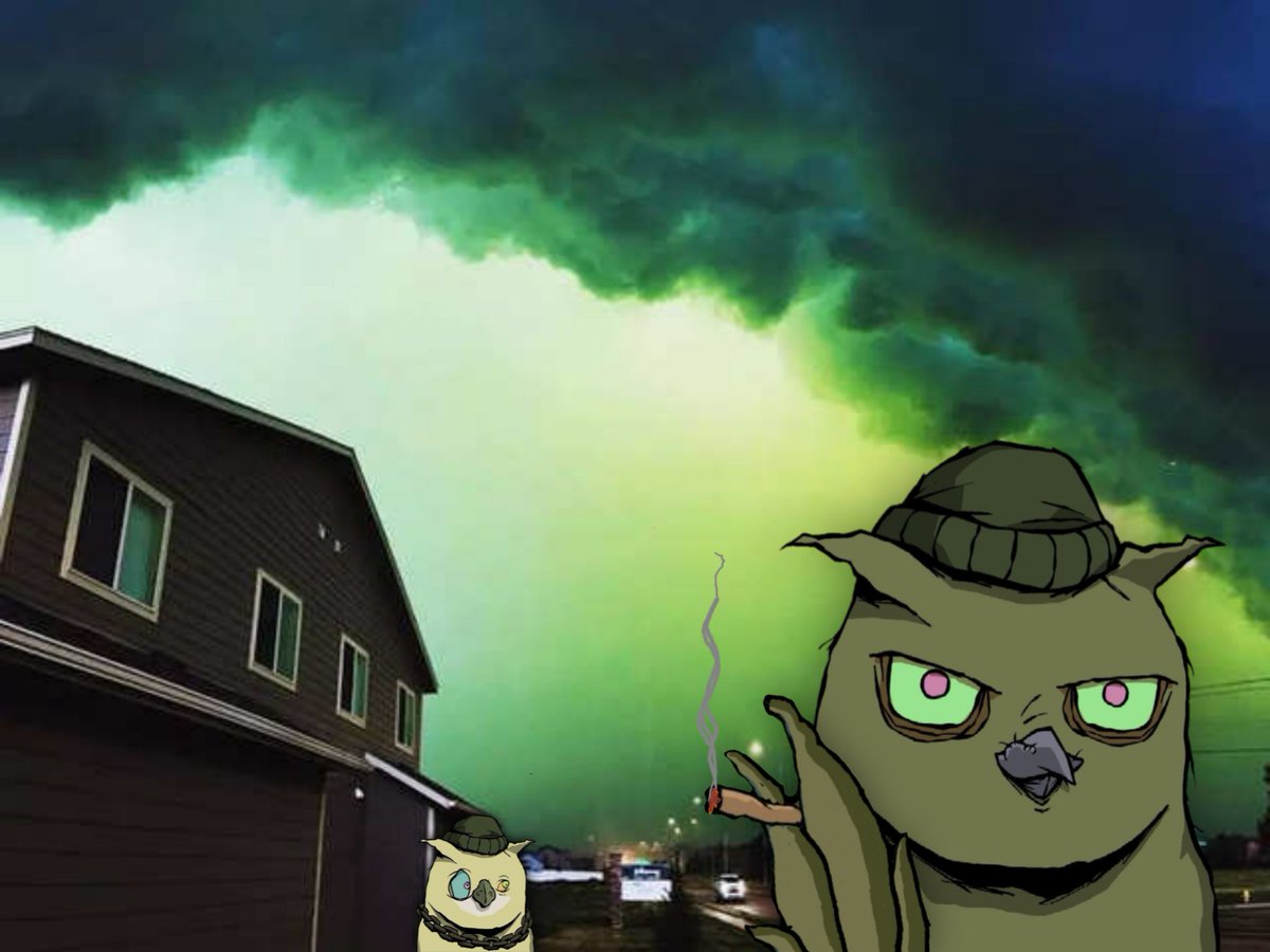 EmikxOne's tweet photo. @Dirt_Birds_NFT
South Dakota
#IYKYK
#DirtbirdsWTF #DirtGang #DirtMcgirt #Weirdshit #GreenSkies #LZDetector #WTFisThat #OhSoDirtyMemes https://t.co/ONfUEEqLLg