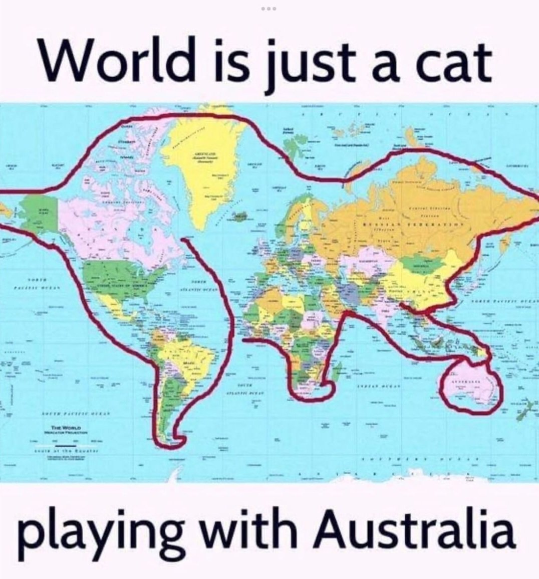 PJ's Pet Stores tweet media