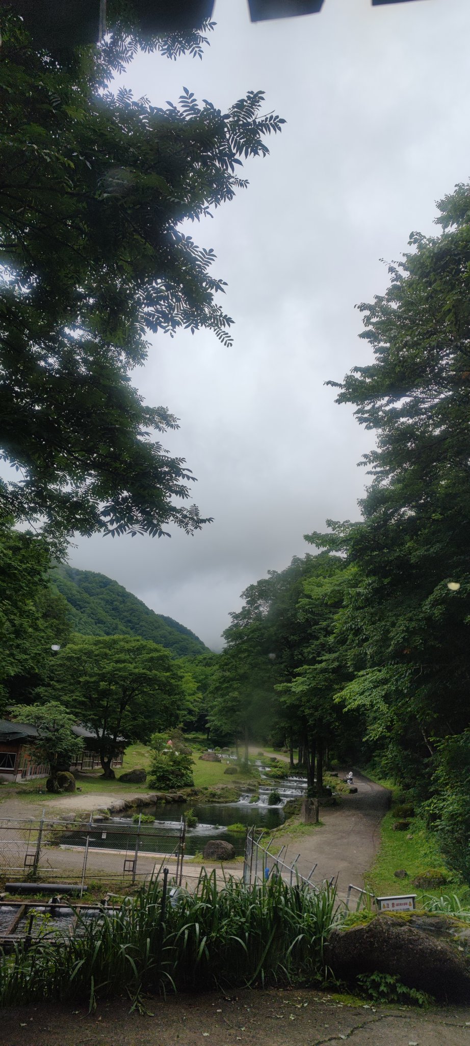 新東北笹谷渓流つり おはよう御座います 新東北笹谷渓流つりの場内は雲が多いです 22度前後 湿度は90 です 予報ですとこれから雨が降り始めるので雨具が必要です ご来店お待ちしています 釣り堀 宮城 渓流 ニジマス イワナ T Co