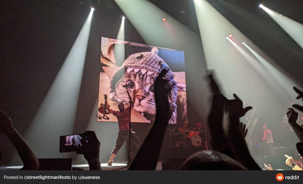 ALL HAIL OUR FOUR LEGGED OVERLORDS, MOTHERFUCKERS!!!